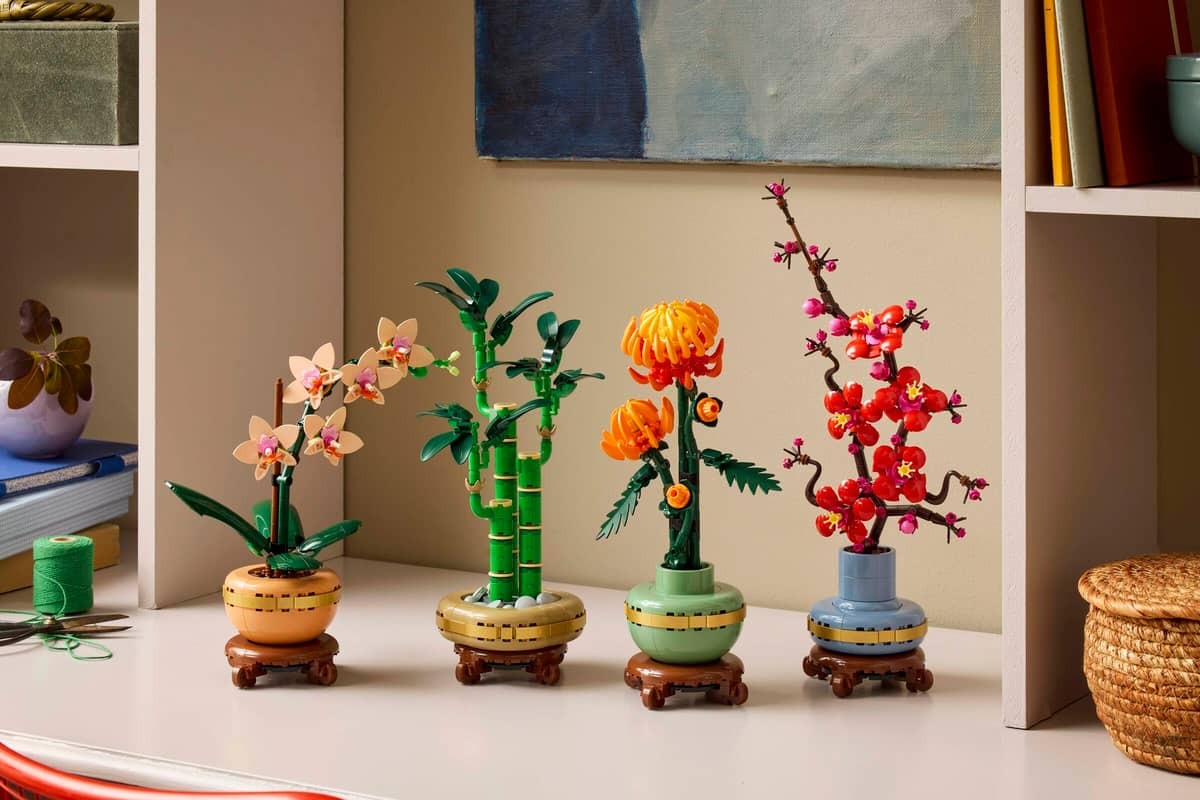 Lucky Bamboo - Image 4