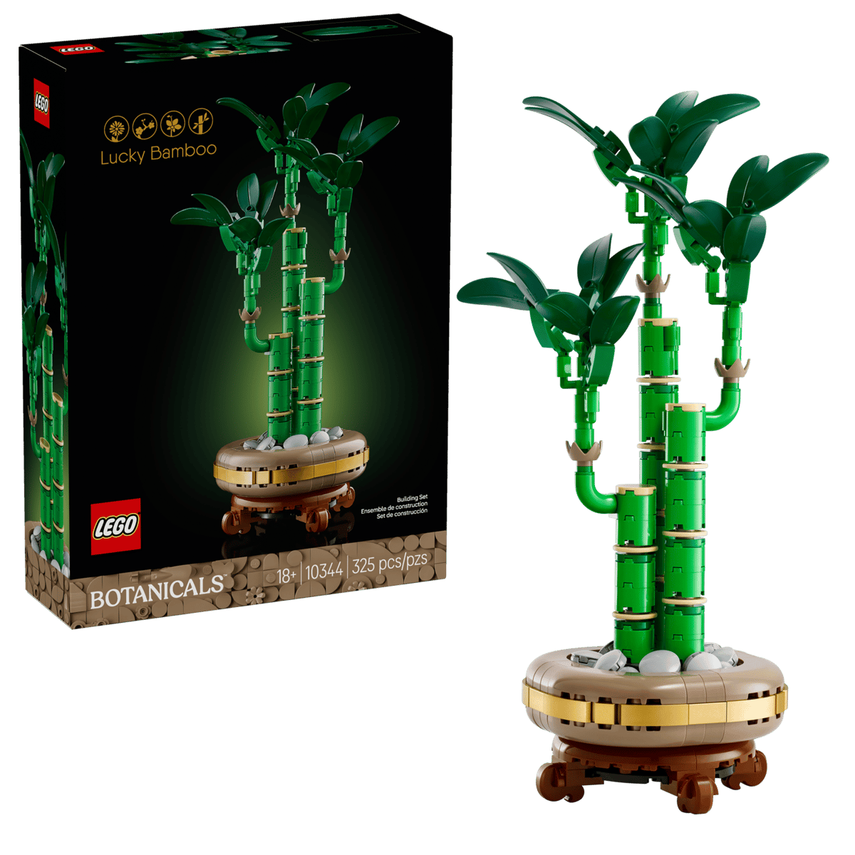 Lucky Bamboo - Image 2