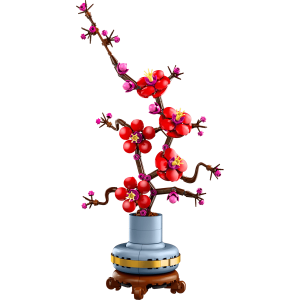 Plum Blossom