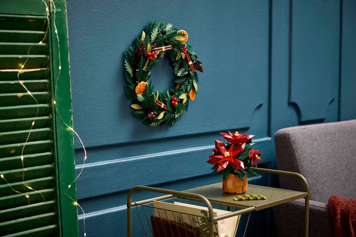 Poinsettia - Image 4