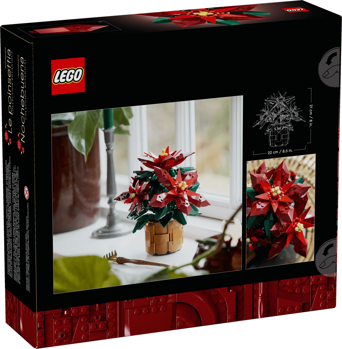 Poinsettia - Image 9