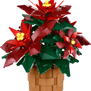 Poinsettia