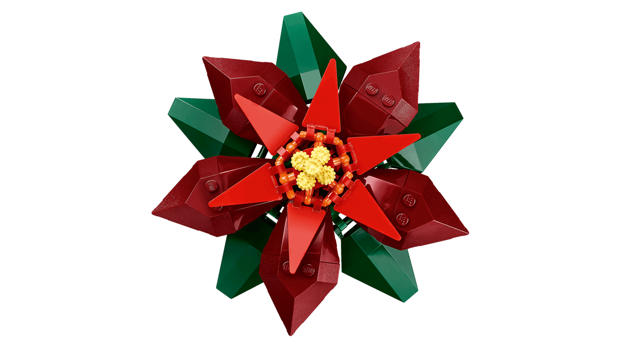 Poinsettia - Image 7