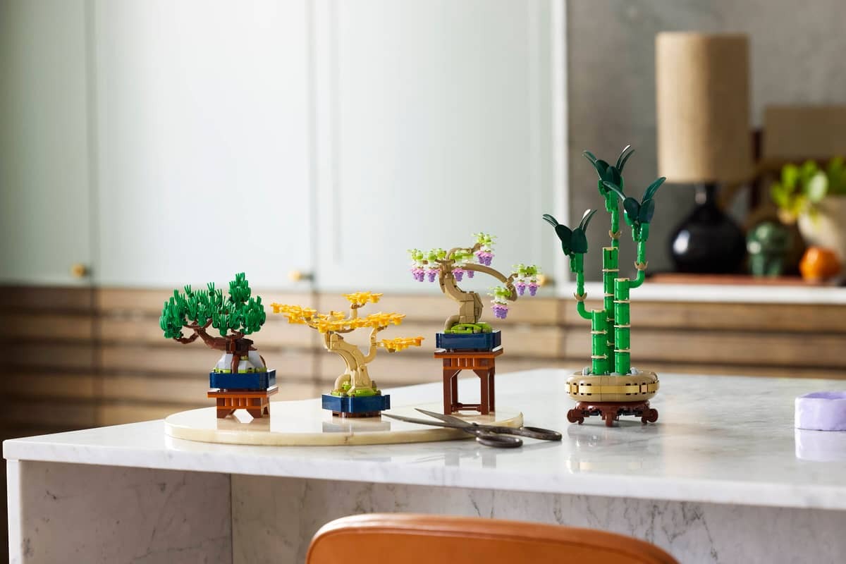 Mini Bonsai Trees - Image 13
