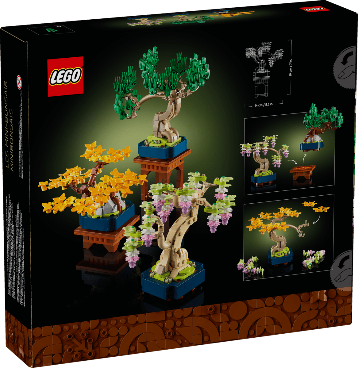 Mini Bonsai Trees - Image 15