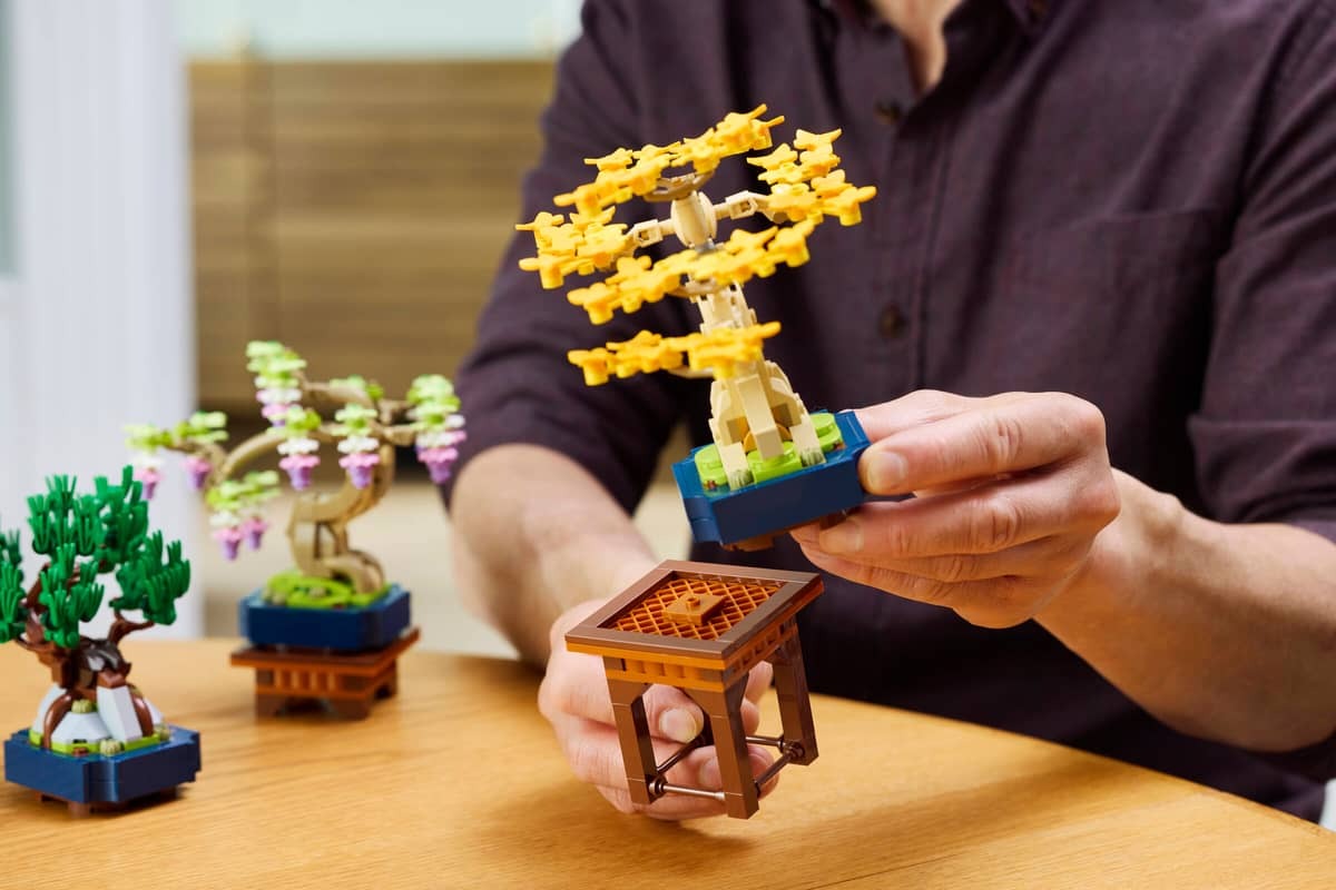Mini Bonsai Trees - Image 12
