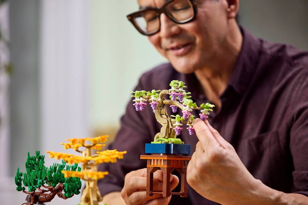 Mini Bonsai Trees - Image 11