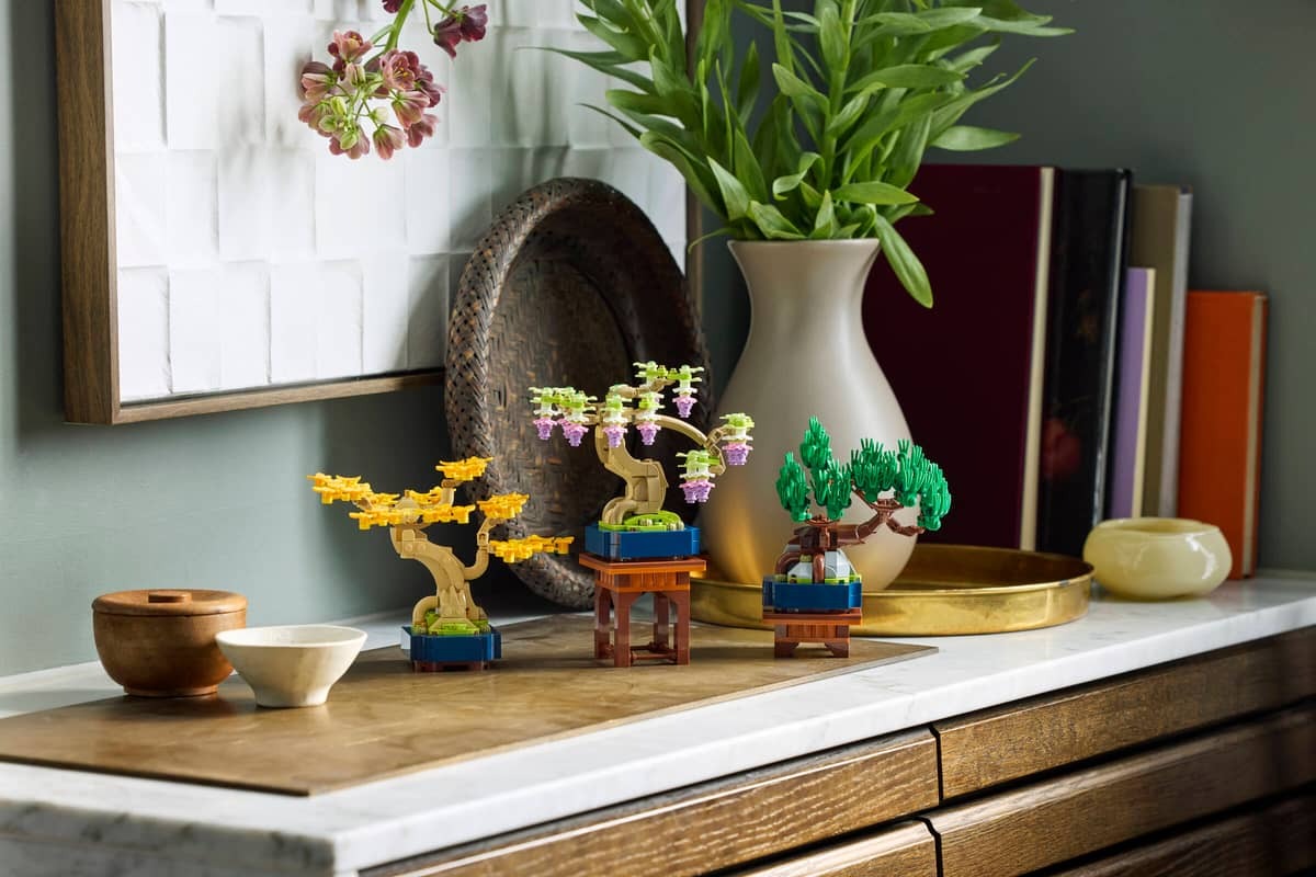 Mini Bonsai Trees - Image 4
