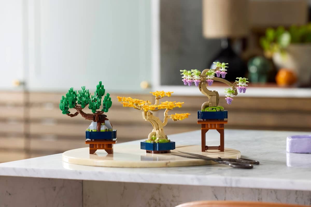 Mini Bonsai Trees - Image 5