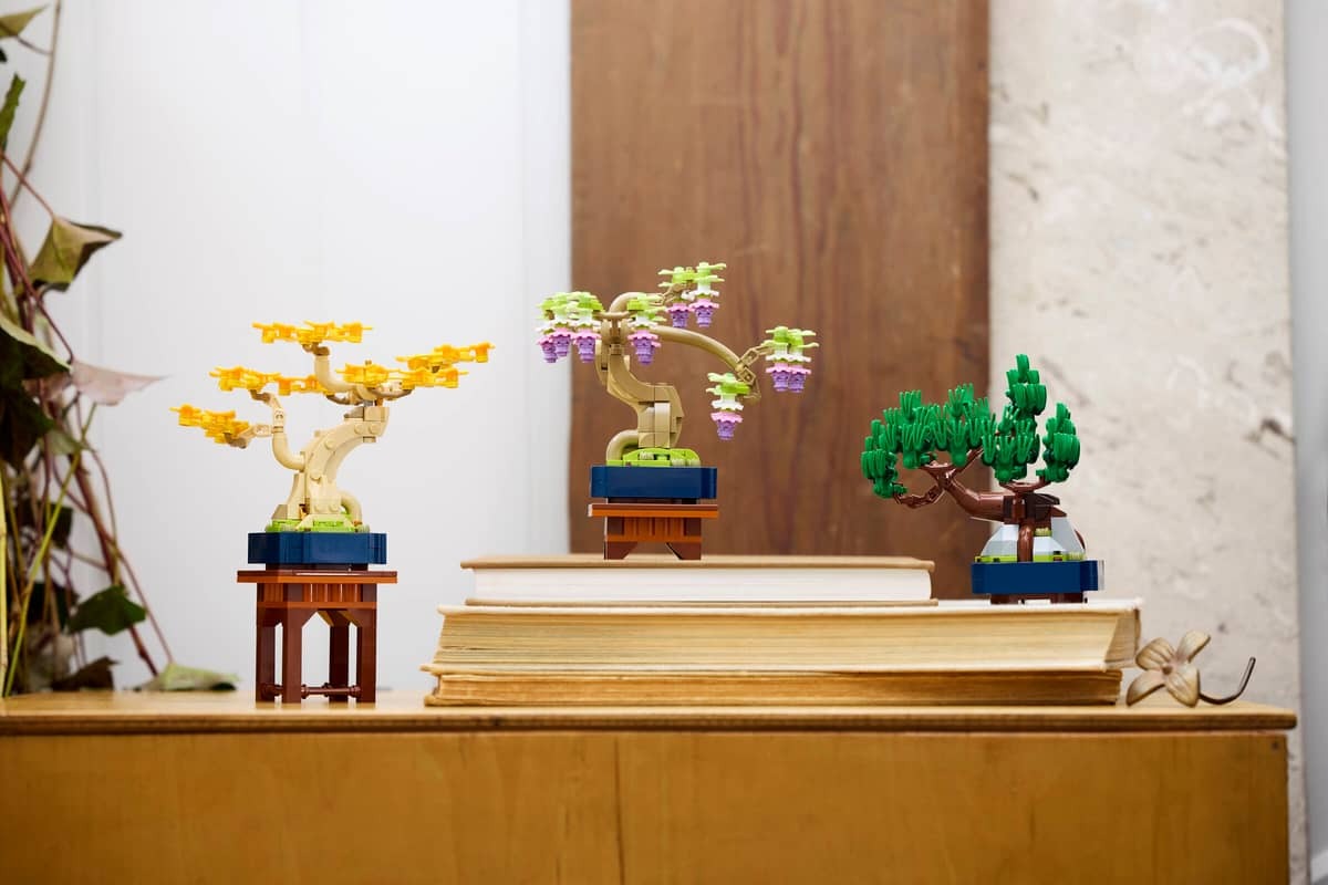 Mini Bonsai Trees - Image 3
