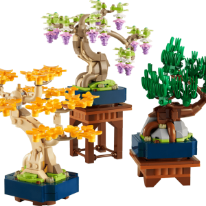 Mini Bonsai Trees