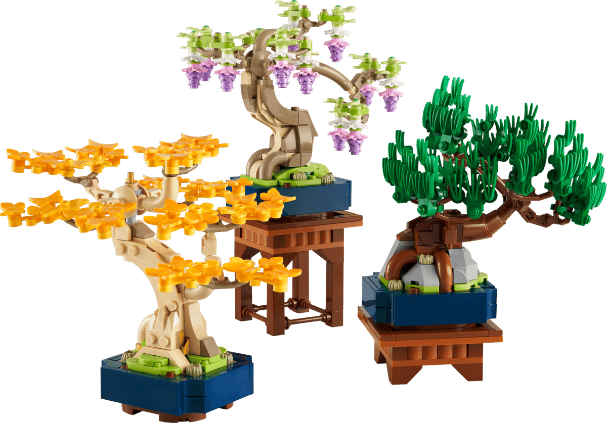 Mini Bonsai Trees
