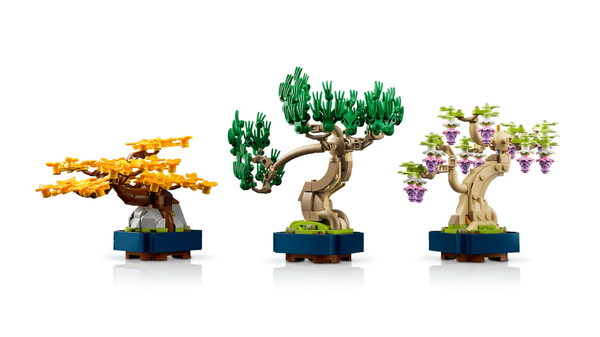 Mini Bonsai Trees - Image 6