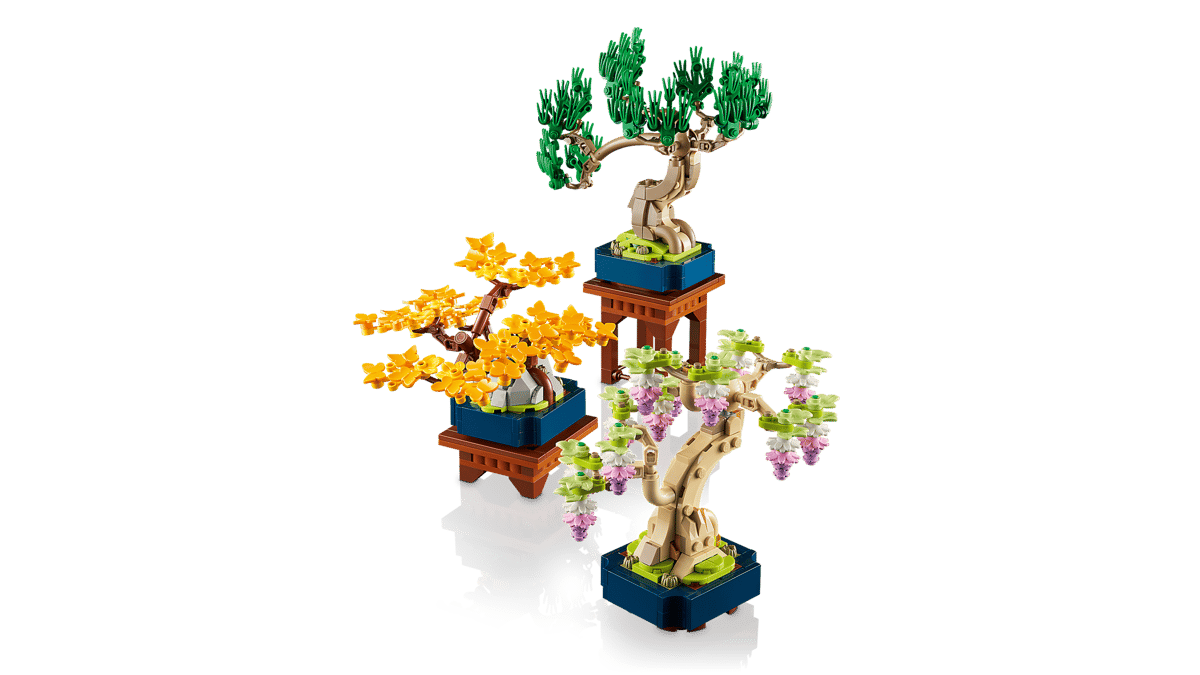 Mini Bonsai Trees - Image 8