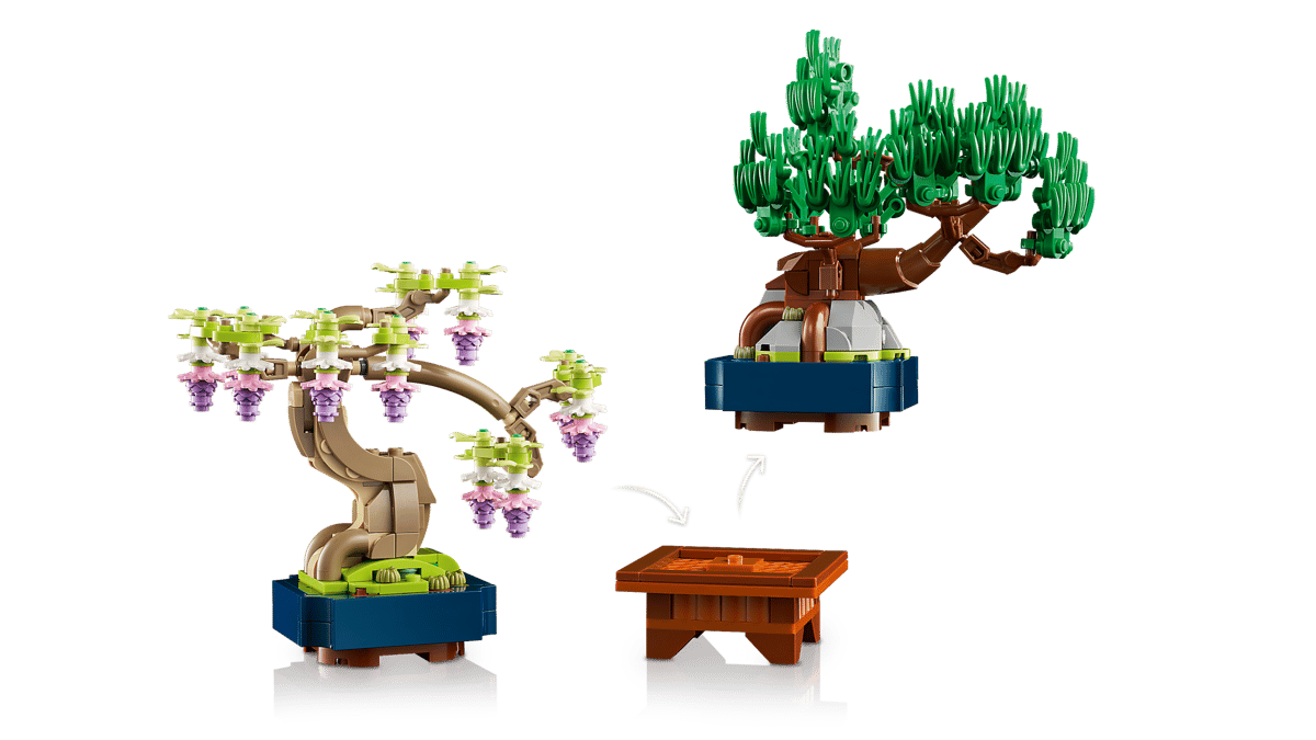 Mini Bonsai Trees - Image 9