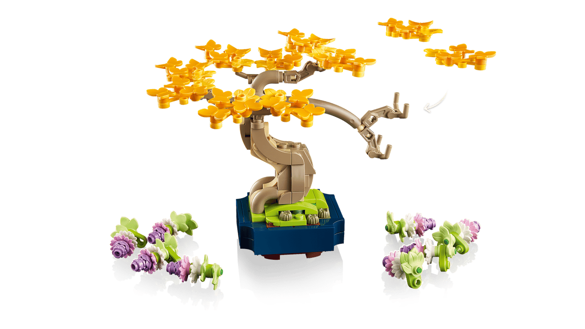 Mini Bonsai Trees - Image 7