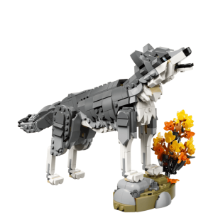 Forest Animals: Gray Wolf