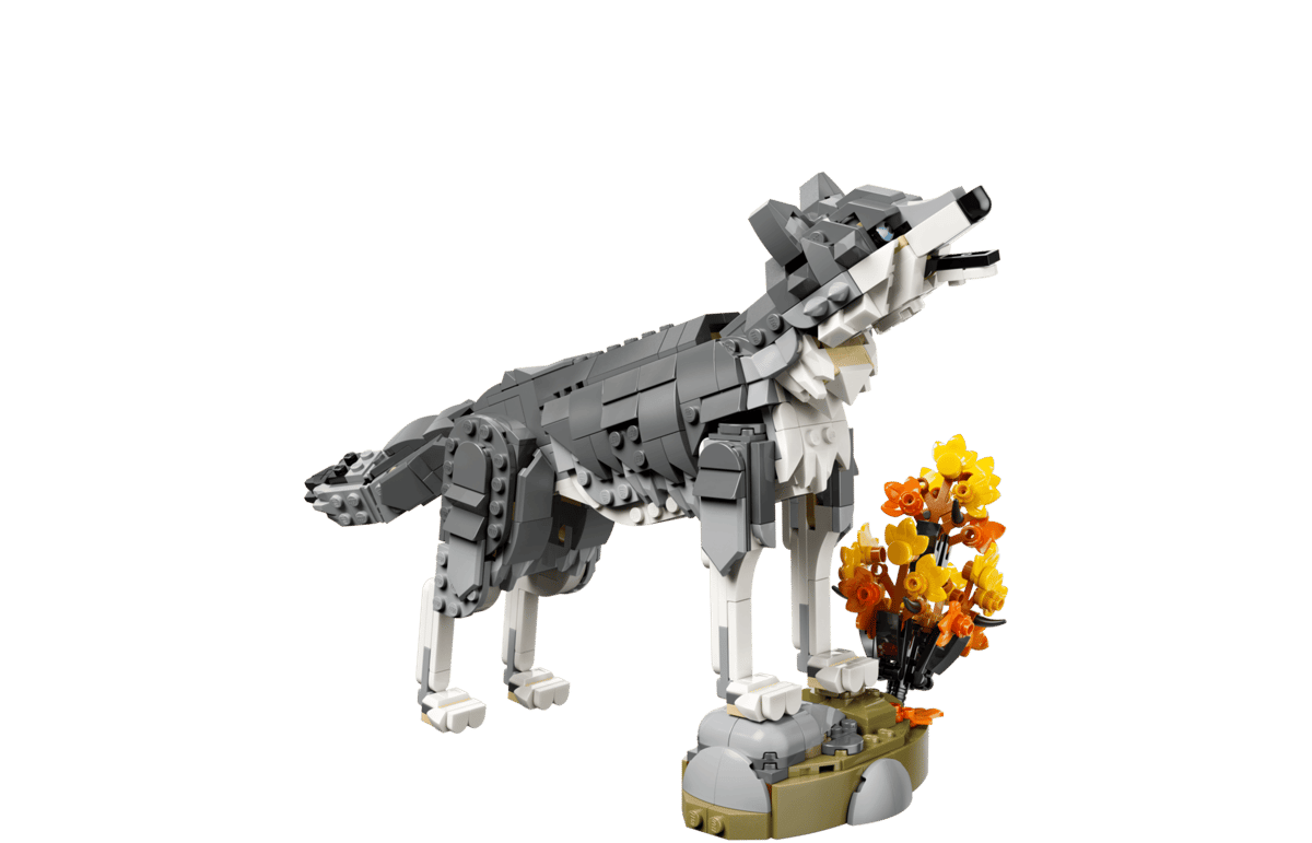 Forest Animals: Gray Wolf