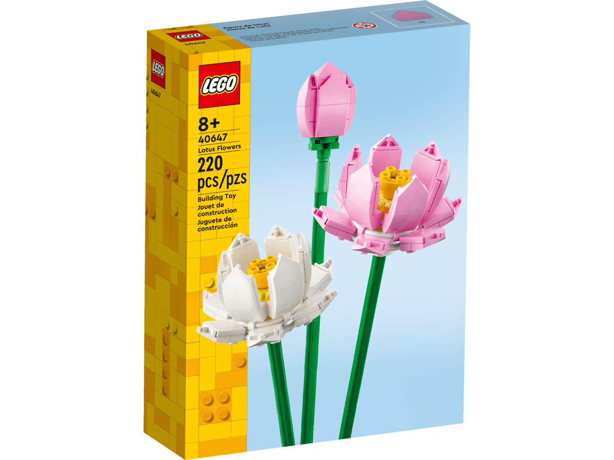 Lotus Flowers - Image 2