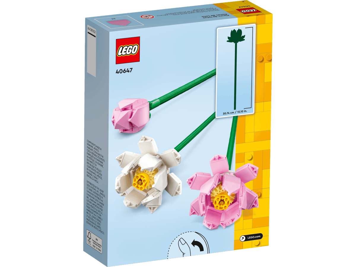 Lotus Flowers - Image 3