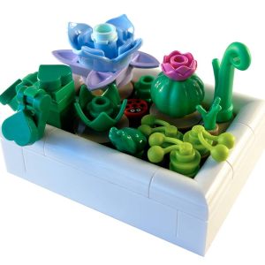 Tiny Desert Garden