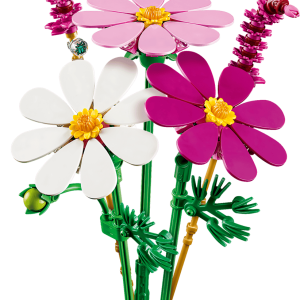 Cosmos Flowers