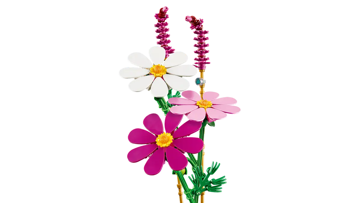 Cosmos Flowers - Image 3