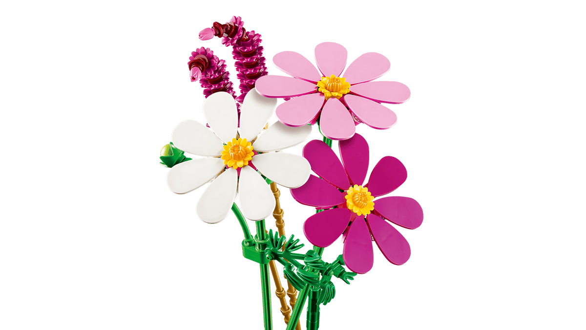 Cosmos Flowers - Image 4