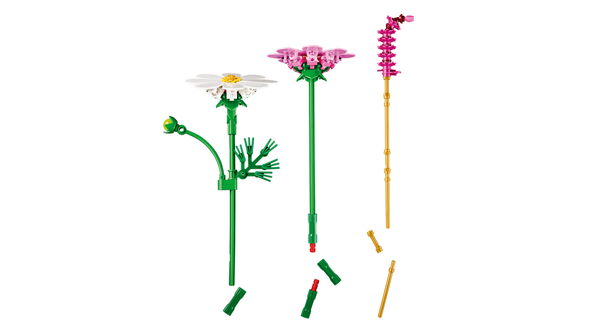 Cosmos Flowers - Image 5