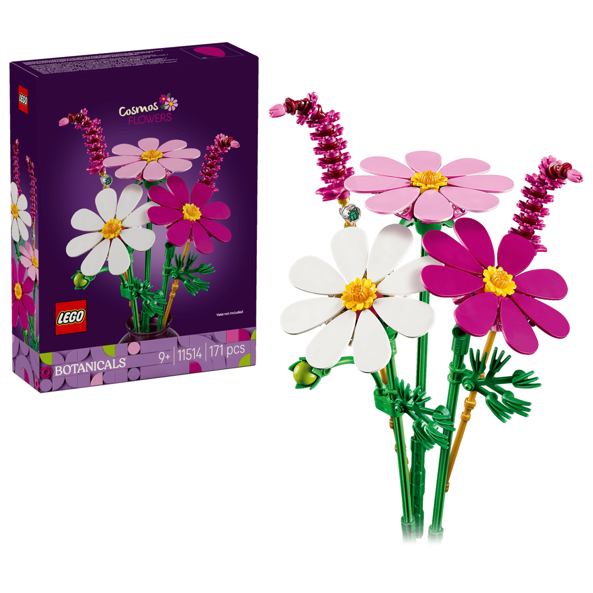 Cosmos Flowers - Image 2