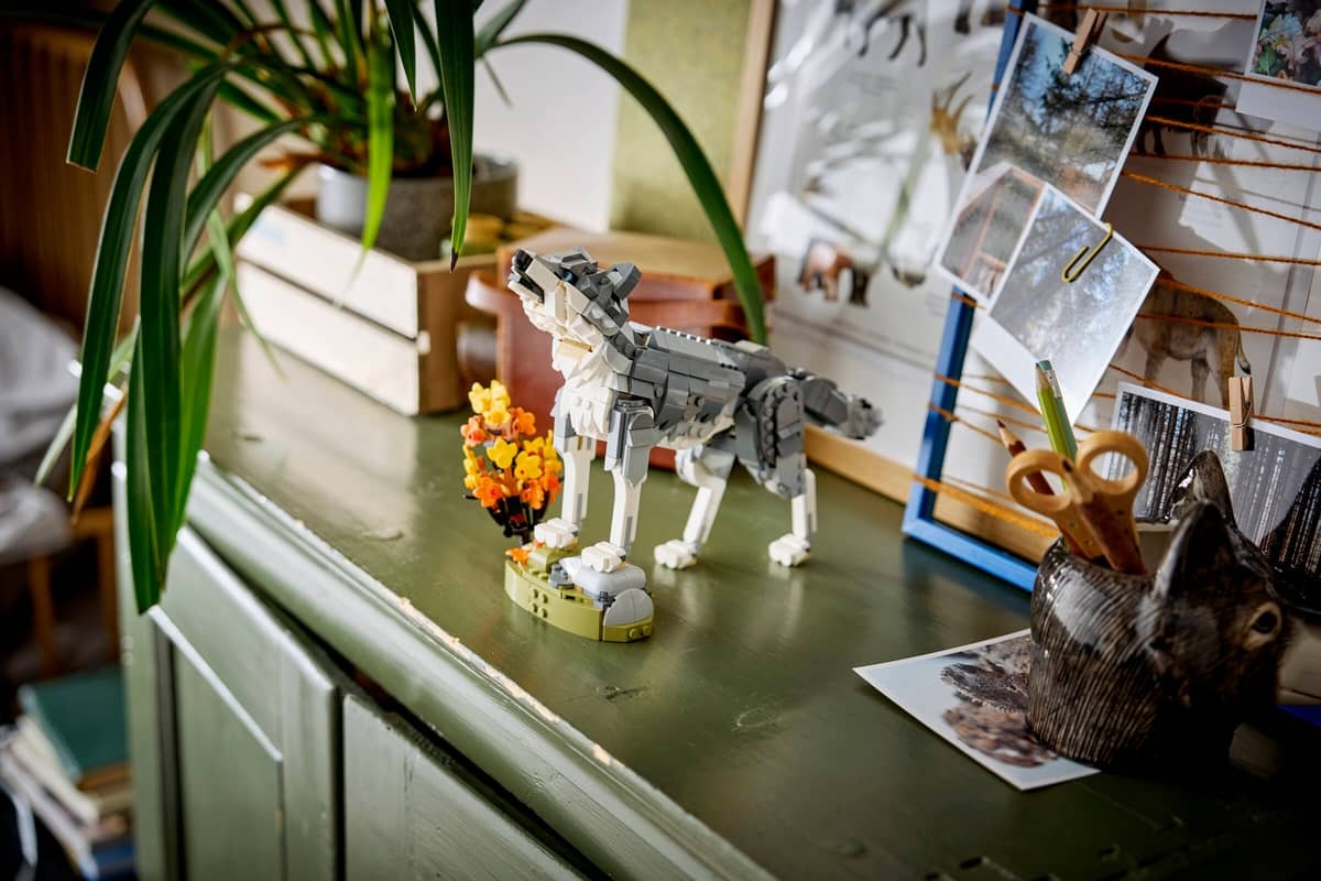 Forest Animals: Gray Wolf - Image 14