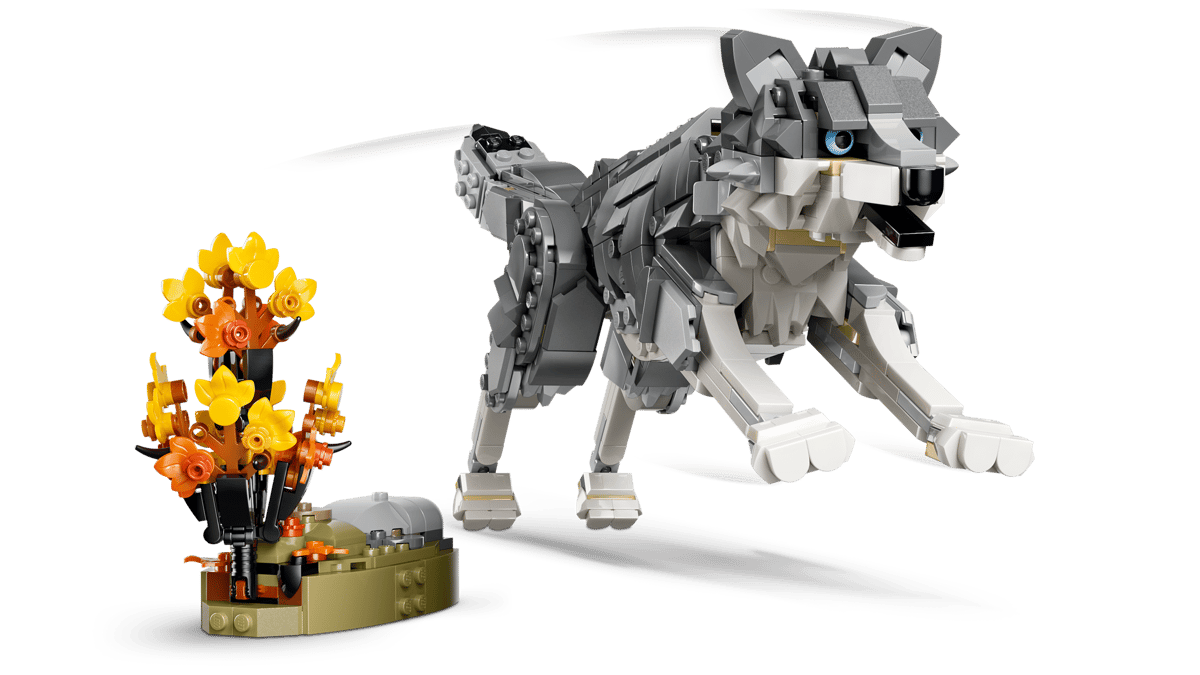 Forest Animals: Gray Wolf - Image 5