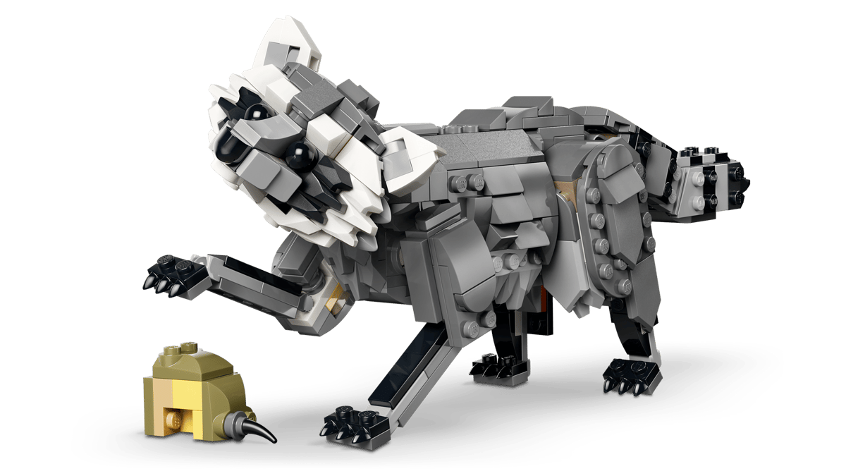 Forest Animals: Gray Wolf - Image 4