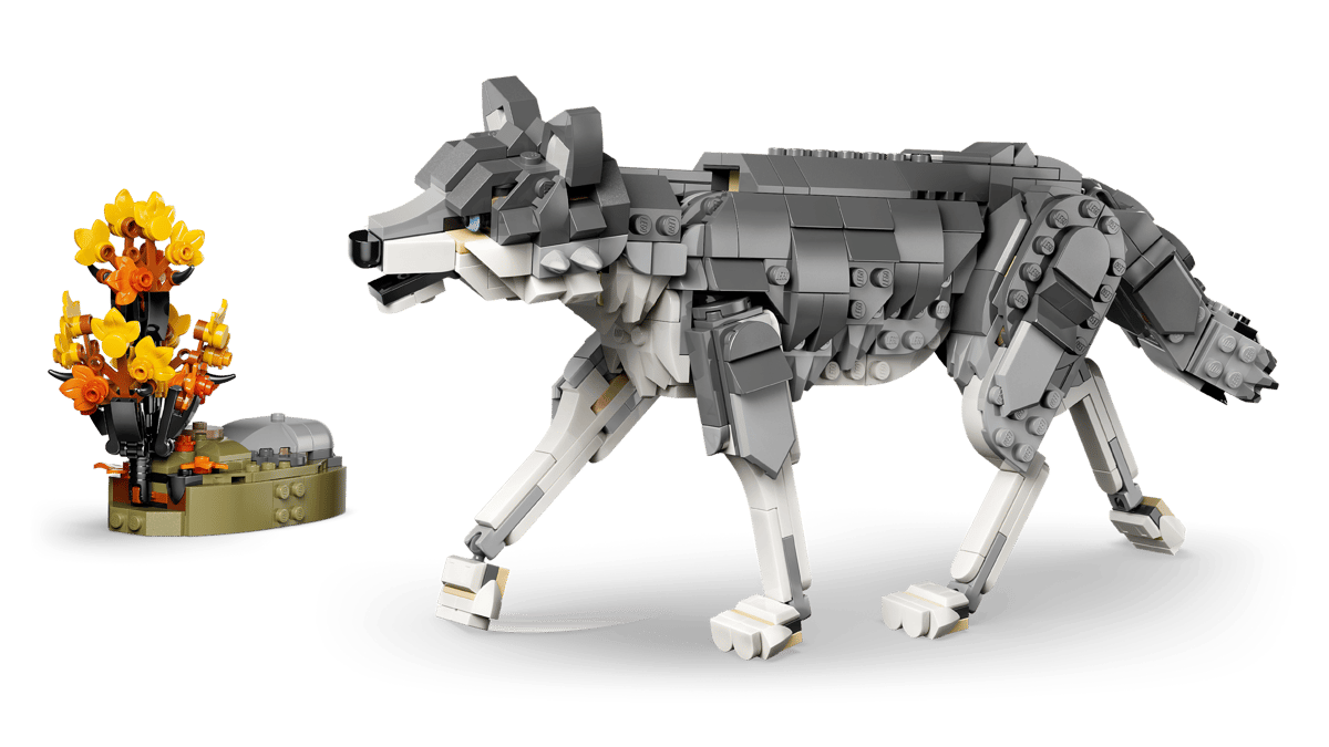 Forest Animals: Gray Wolf - Image 9