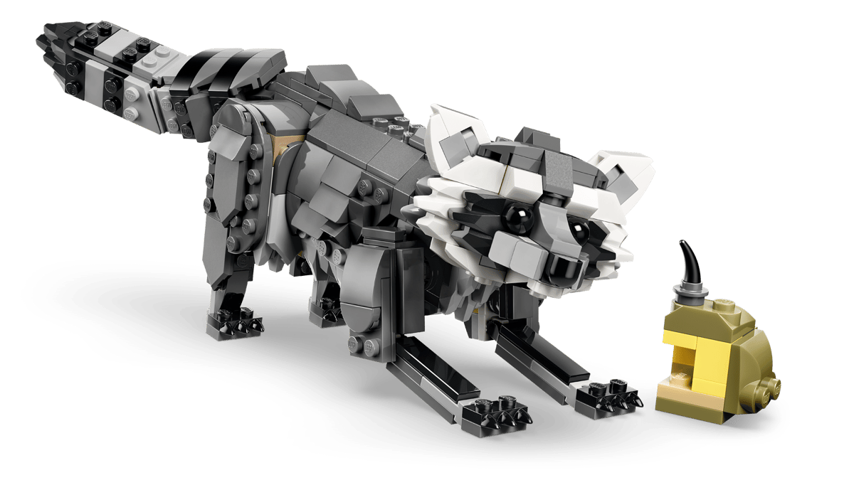 Forest Animals: Gray Wolf - Image 7