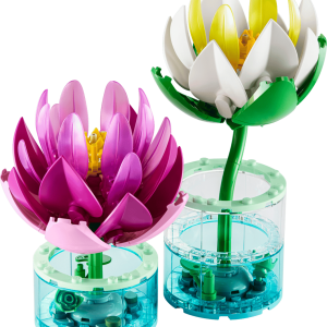 Water Lilies