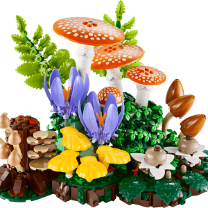 Woodland Mushrooms
