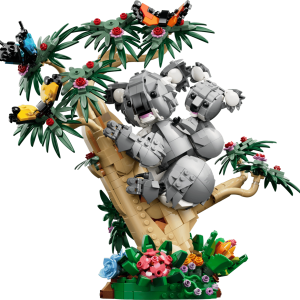 Wild Animals: Family of Koalas