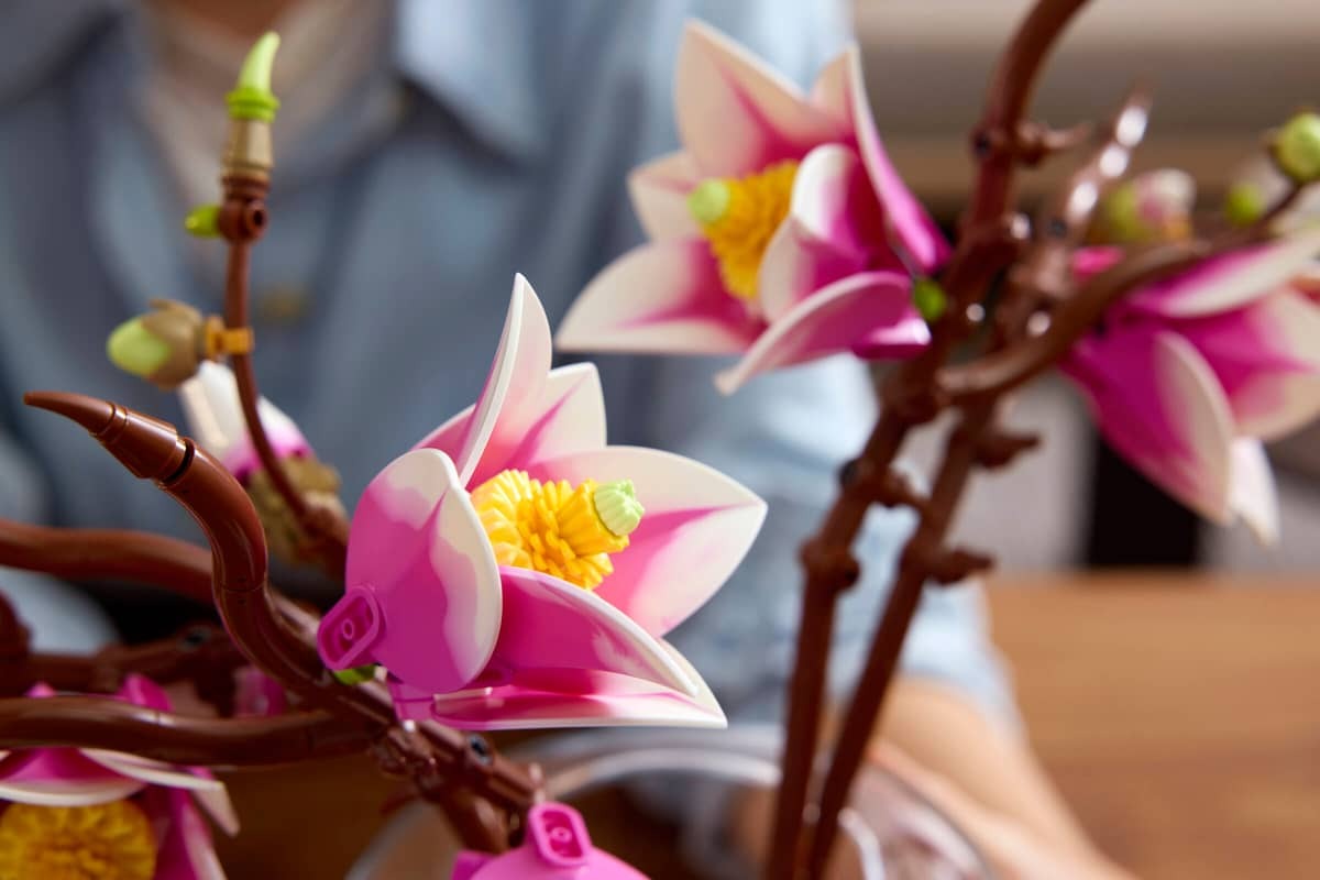 Magnolia Branches - Image 9