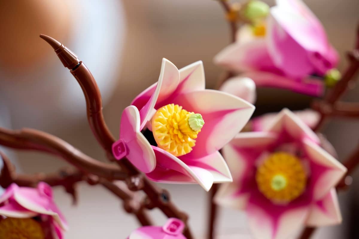 Magnolia Branches - Image 6
