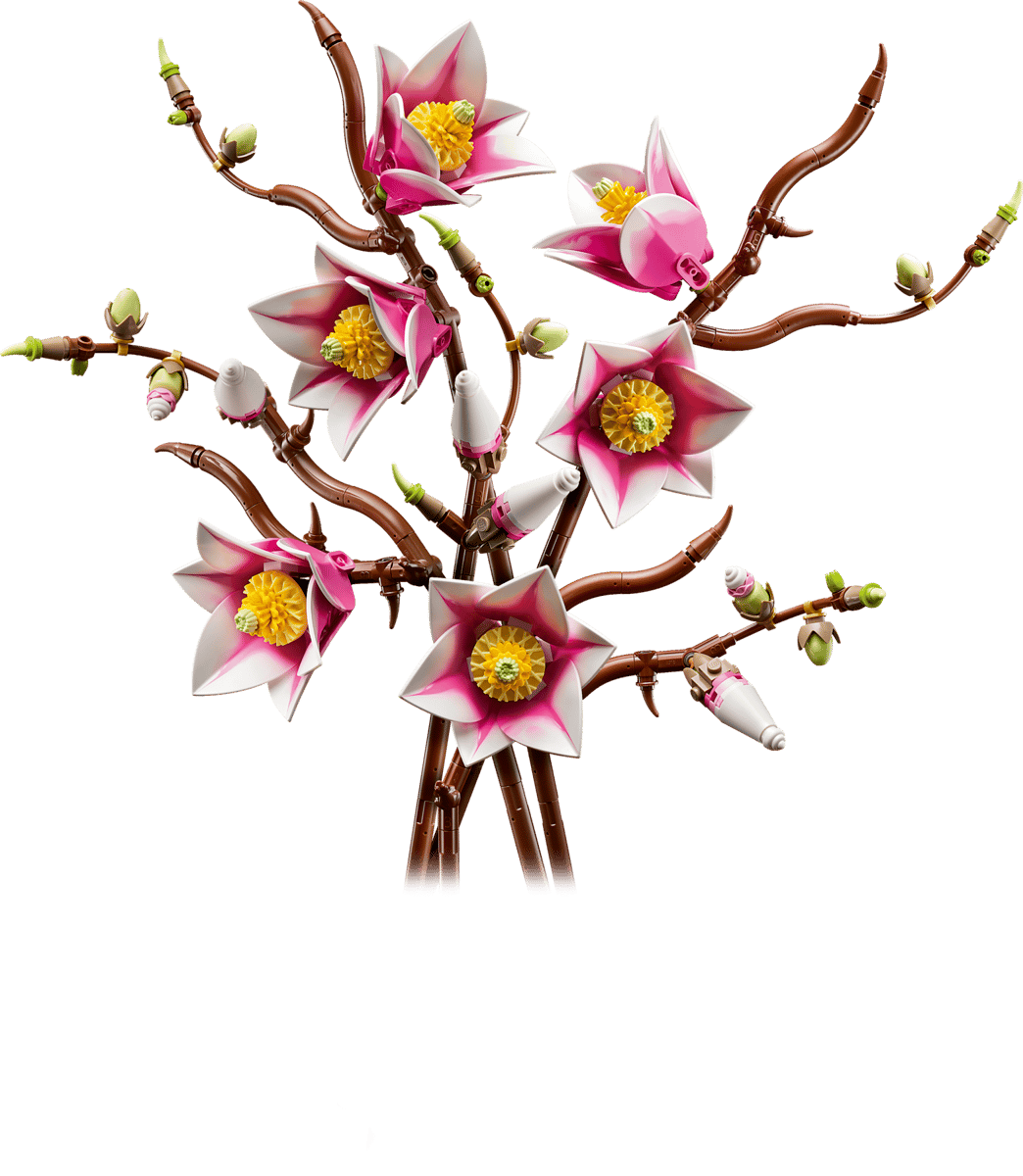Magnolia Branches