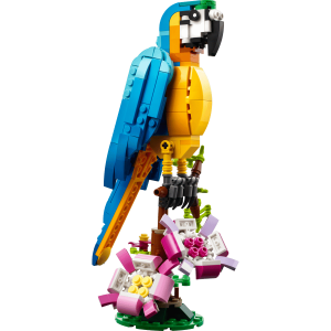 Exotic Parrot