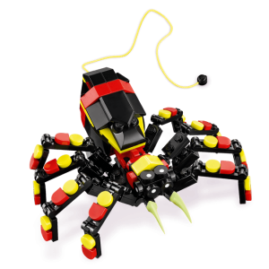 Wild Animals: Surprising Spider