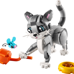 Playful Cat
