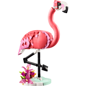 Wild Animals: Pink Flamingo