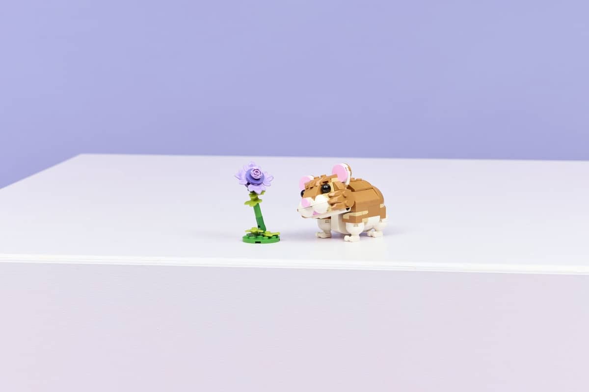 Cute Hamster with a Flower - Image 9