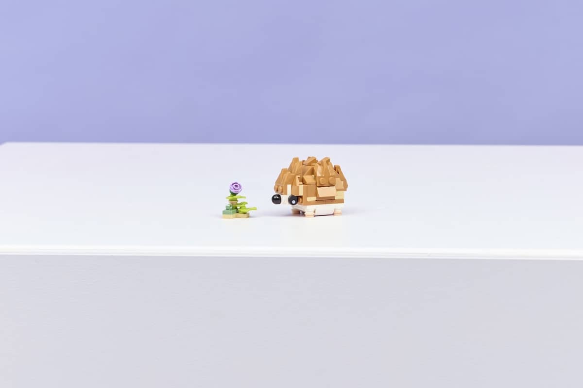 Cute Hamster with a Flower - Image 10