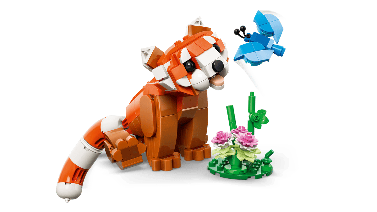 Cute Animals: Red Panda - Image 3