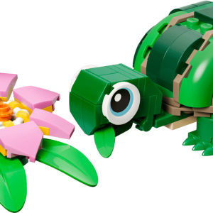 Turtle with a Water Lily Flower