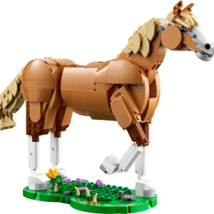 Beautiful Horse
